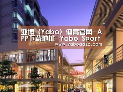 案例展示一