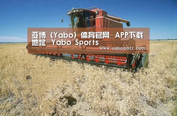 产品名称三