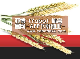 亚博（Yabo）体育官网-APP下载地址-Yabo Sports