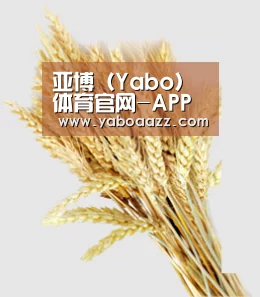 亚博（Yabo）体育官网-APP下载地址-Yabo Sports