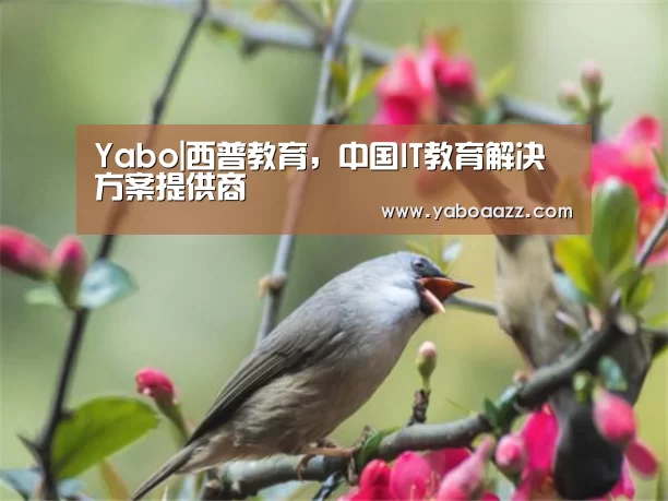 亚博官网