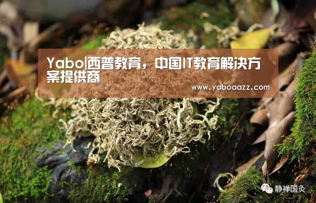 Yabo|西普教育，中国IT教育解决方案提供商(图4)